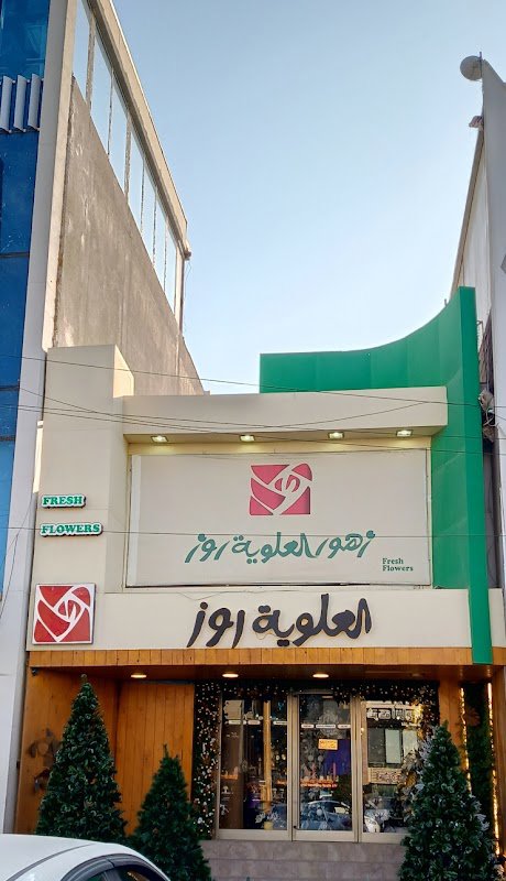 العلوية روز المنصور