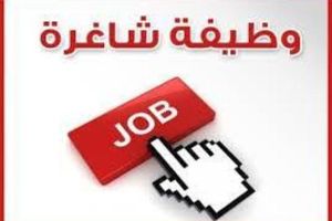 Production Designer