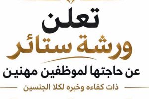 موظفين مهنيين